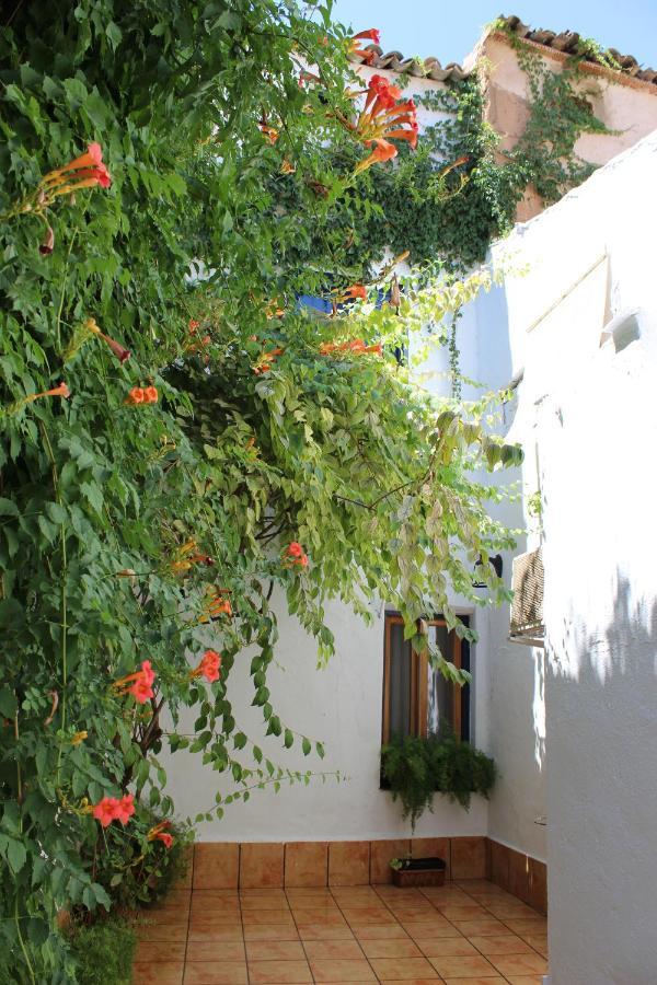 Vila Casa Alcaida Quesada Exteriér fotografie