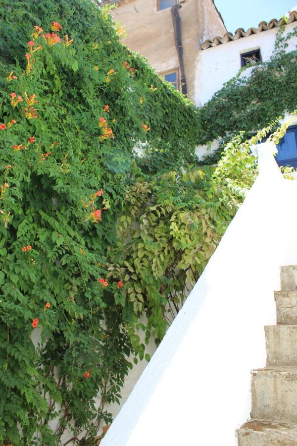 Vila Casa Alcaida Quesada Exteriér fotografie