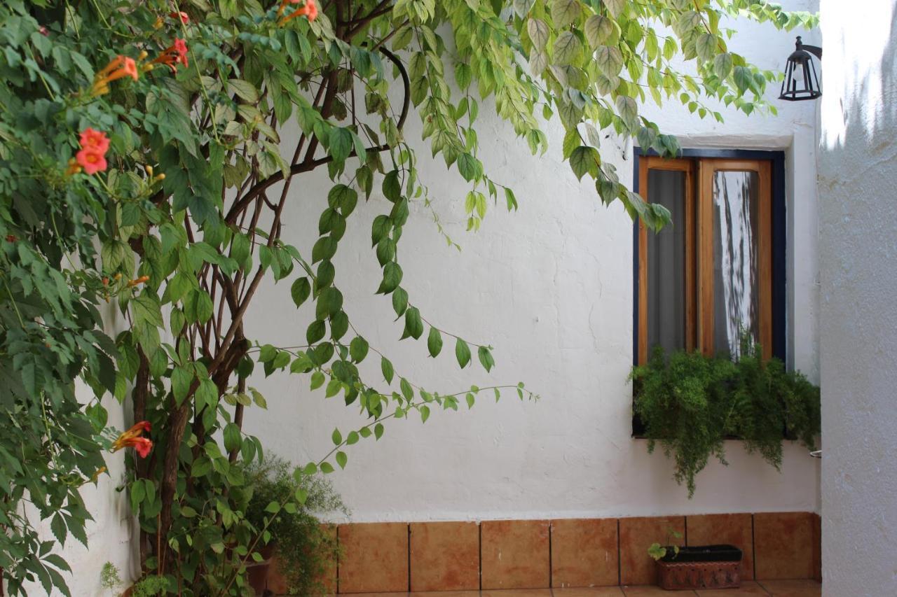 Vila Casa Alcaida Quesada Exteriér fotografie